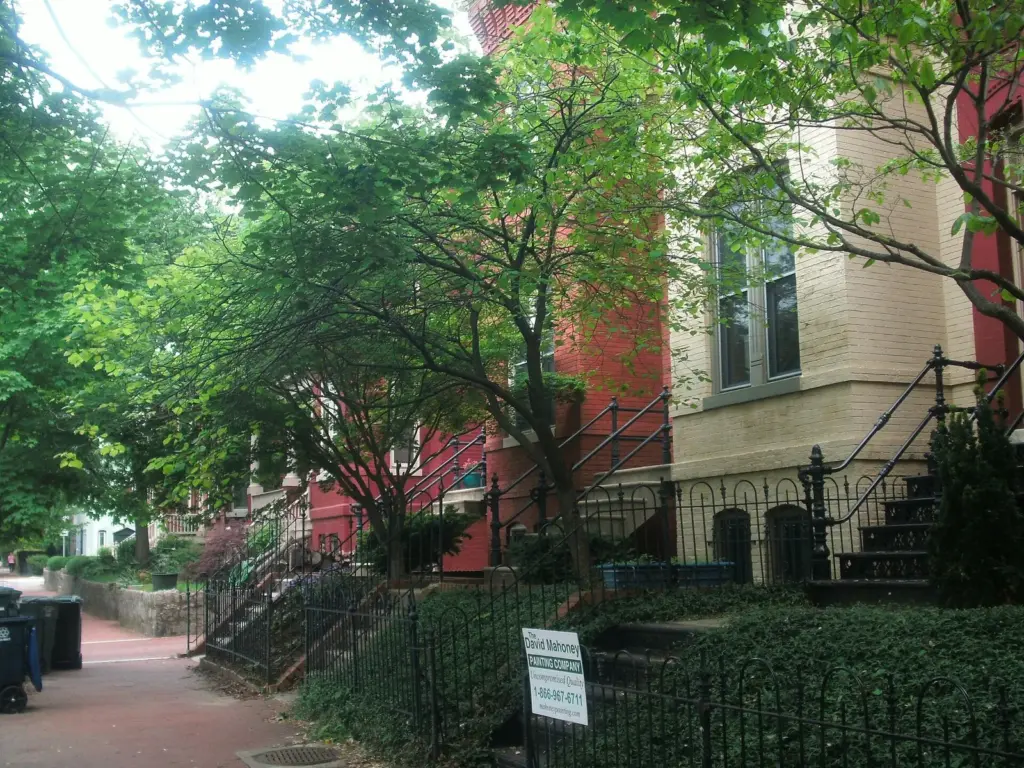 Tree-shaded Victorian rowhouses with iron stair railings on a Capitol Hill residential street