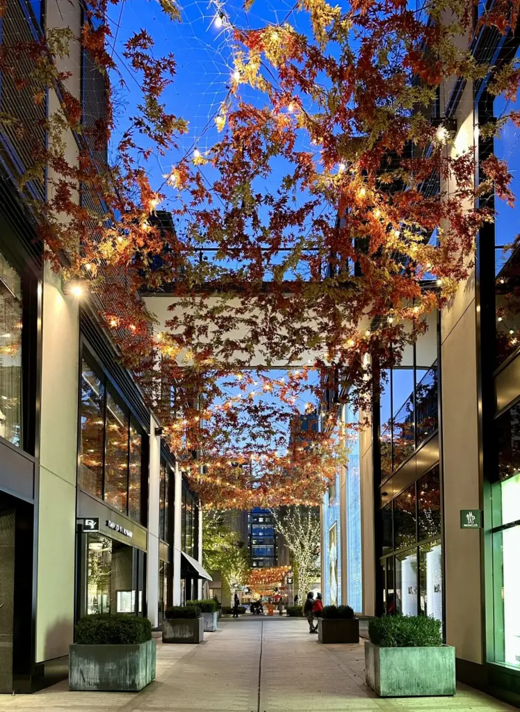 Palmer Alley at CityCenterDC, a pedestrian lane between glass storefronts under a canopy of hanging autumn leaves