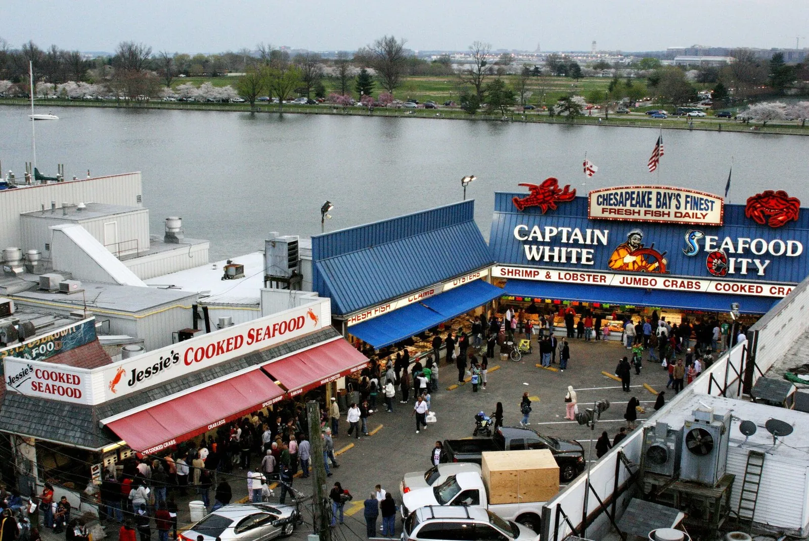 Best restaurants in Washington DC start here: the crowded seafood stalls of the Municipal Fish Market on the Washington Channel