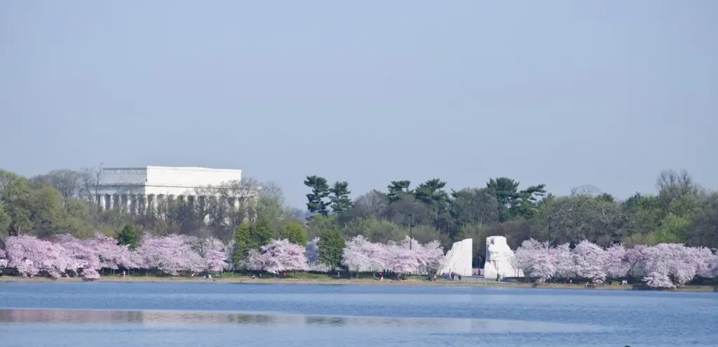 The white granite Martin Luther King Jr. Memorial seen across the Tidal Basin