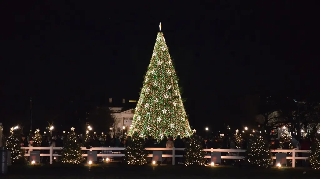 The National Christmas Tree lit with white and gold lights at night, surrounded by smaller decorated trees