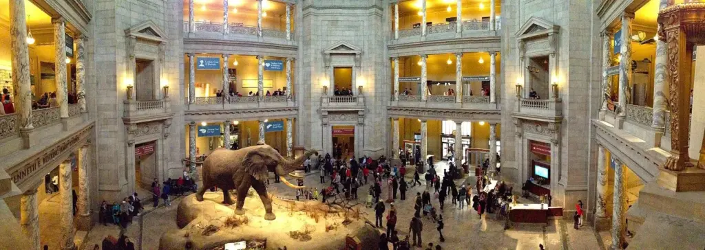 Panoramic view of the museum's domed rotunda with a mounted African elephant at its center and visitors on three levels