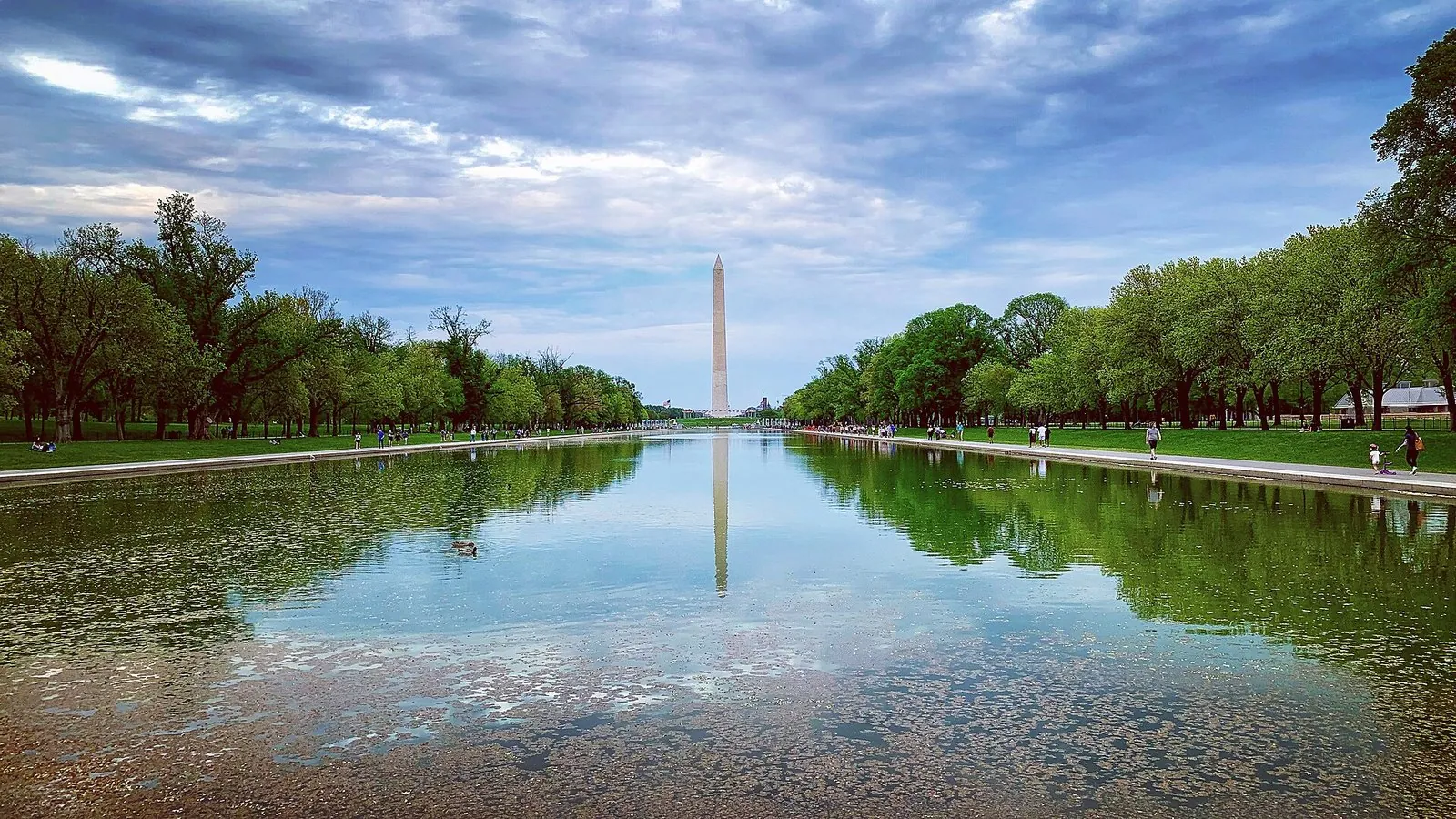 Washington DC monuments from the Lincoln Memorial end: the Washington Monument reflected in the Reflecting Pool between rows of elms