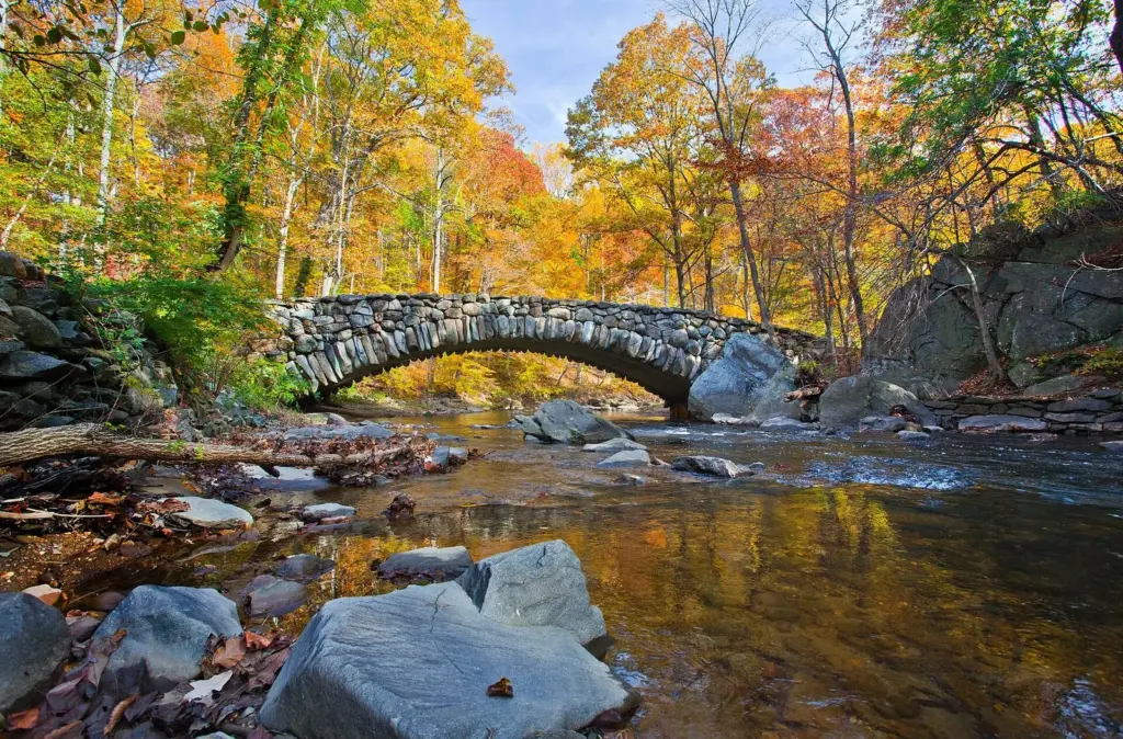 A stone arch bridge over a rocky creek framed by yellow and orange autumn trees in Rock Creek Park