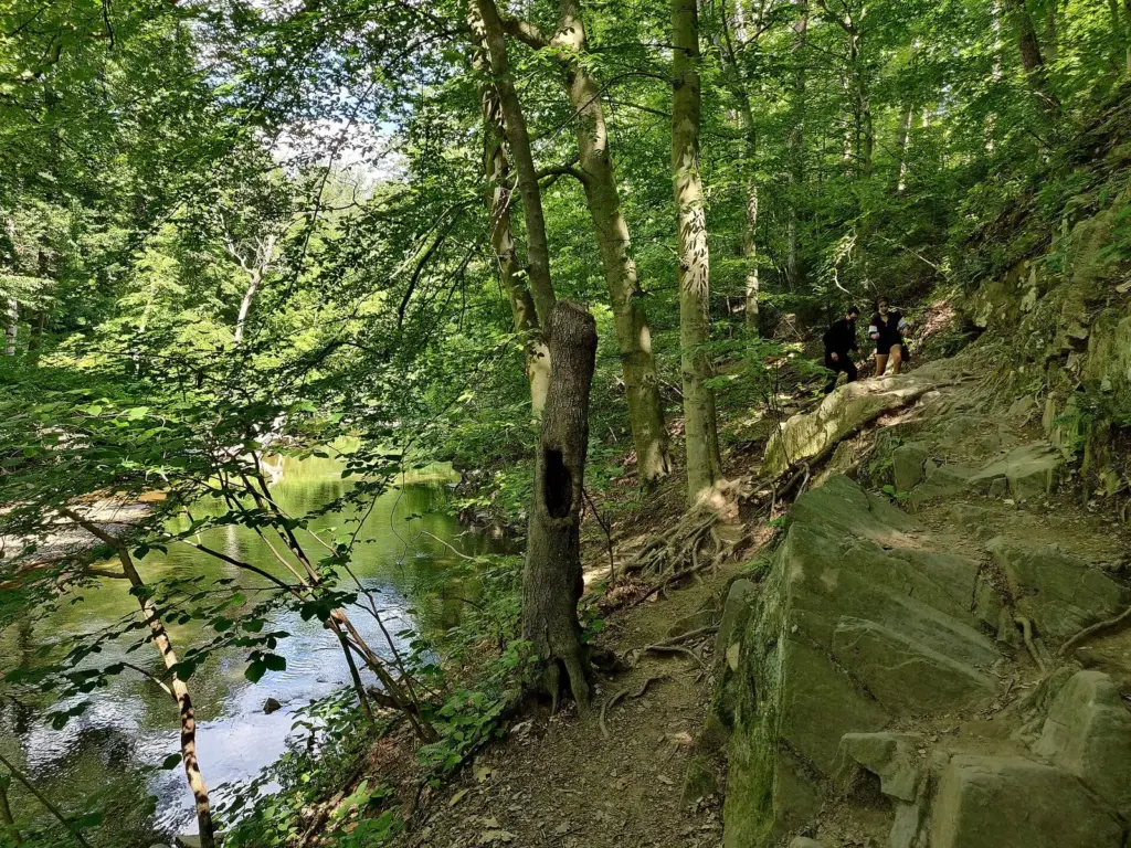 A narrow dirt trail through spring woods beside the creek in Rock Creek Park