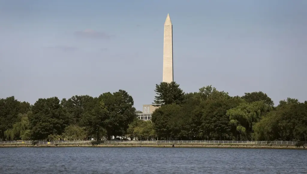 The Washington Monument rising above a line of trees across the water