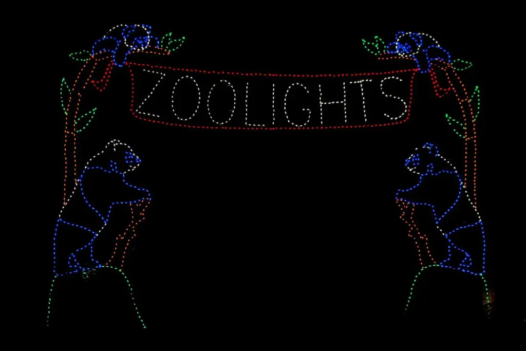 A glowing ZooLights sign made of colored lights with panda and bird figures against the night